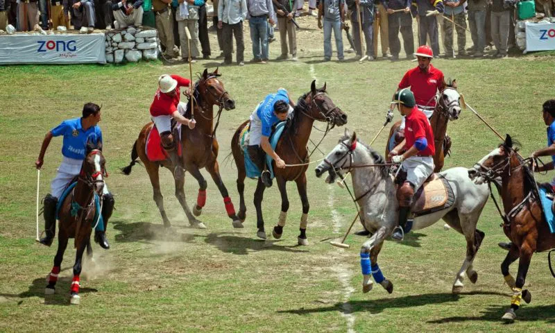 Festival of Northern Pakistan