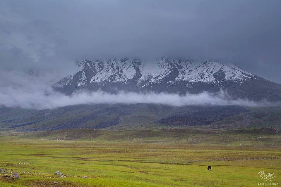 Shandur