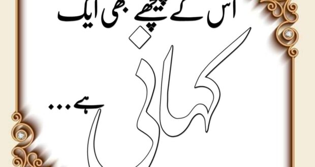 مصالحہ دار ہنگامی نگارشات