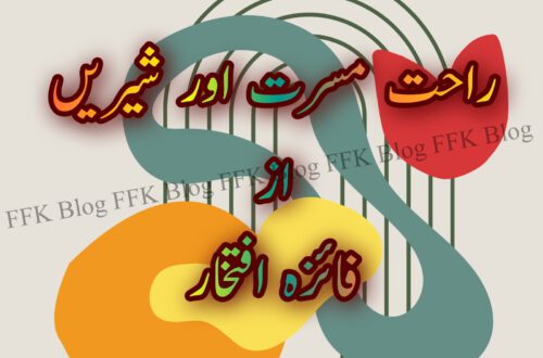 راحت مسرت اور شیریں ناول
