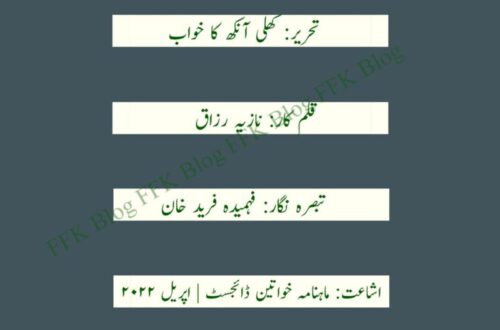 کھلی آنکھ کا خواب ناول