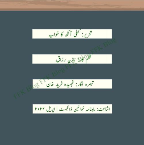 کھلی آنکھ کا خواب ناول