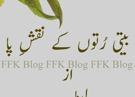 بیتی رُتوں کے نقشِ پا