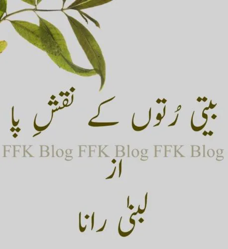 بیتی رُتوں کے نقشِ پا