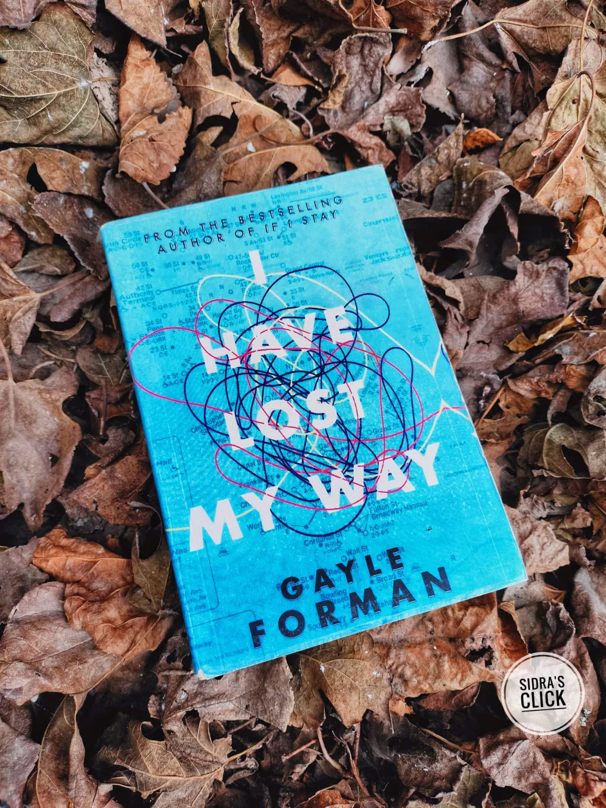 I Have Lost My Way