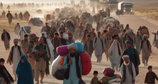 غیر قانونی تارکین وطن