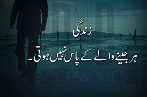 زندگی ہر جینے والے کے پاس نہیں ہوتی